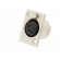 Socket | XLR | female | PIN: 4 | straight | with push button | soldering paveikslėlis 2