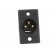 Socket | XLR | male | PIN: 3 | straight | soldering | black | 16A | 27mm image 9