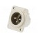 Socket | XLR | male | PIN: 3 | straight | soldering | silver | 16A | 19x24mm image 1
