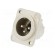 Socket | XLR | male | PIN: 3 | straight | soldering | silver | 16A | 19x24mm фото 1