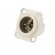 Socket | XLR | male | PIN: 4 | straight | soldering | silver | 10A | 19x24mm paveikslėlis 2