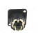 Socket | XLR | male | PIN: 5 | straight | soldering | silver | 7.5A | 19x24mm paveikslėlis 5
