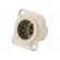 Socket | XLR | male | PIN: 6 | straight | soldering | silver | 7.5A | 19x24mm image 1