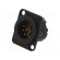 Socket | XLR | male | PIN: 6 | straight | soldering | black | 7.5A | 19x24mm image 1