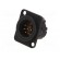 Socket | XLR | male | PIN: 6 | straight | soldering | black | 7.5A | 19x24mm image 2