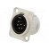 Socket | XLR | male | PIN: 6 | straight | soldering | silver | 7.5A | 19x24mm image 1