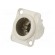 Socket | XLR | male | PIN: 7 | straight | soldering | silver | 5A | 19x24mm image 1