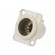 Socket | XLR | male | PIN: 7 | straight | soldering | silver | 5A | 19x24mm фото 2