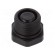 Stopper | PG7 | IP68 | polyamide | black | V-NE-SD PG | Thread: PG image 2