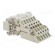 Connector: HDC | contact insert | male | Han E® AV | PIN: 10 | 10+PE image 4