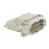 Connector: HDC | contact insert | male | Han E® AV | PIN: 10 | 10+PE image 8