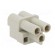 Connector: HDC | contact insert | female | Han Q | PIN: 3 | 2P+PE | 40A image 9