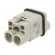 Connector: HDC | contact insert | male | Han Q | PIN: 3 | 2P+PE | size 3A image 2