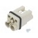 Connector: HDC | contact insert | male | Han Q | PIN: 3 | 2P+PE | size 3A image 1