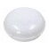 Lamp: LED lighting fixture | PANDA LED | polycarbonate | 4000K | IP65 paveikslėlis 1