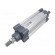 Profile cylinder | Piston diam: 20mm | Piston stroke: 100mm paveikslėlis 1