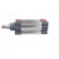 Profile cylinder | Piston diam: 20mm | Piston stroke: 50mm | 1÷10bar image 3