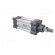 Profile cylinder | Piston diam: 20mm | Piston stroke: 50mm | 1÷10bar image 8