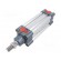 Profile cylinder | Piston diam: 20mm | Piston stroke: 80mm | 1÷10bar image 1