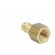 Connector | connector pipe | 0÷35bar | brass | Deans,NW 5 | -20÷100°C image 4