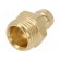 Connector | connector pipe | max.15bar | Enclos.mat: brass | Seal: FPM paveikslėlis 1