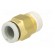 Push-in fitting | threaded,straight | R 1/8" | outside | -1÷10bar paveikslėlis 6