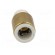 Push-in fitting | threaded,straight | R 1/8" | outside | -1÷10bar image 9