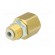 Push-in fitting | threaded,straight | Rc 1/4" | inside,outside image 6