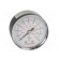 Manometer | BSP 1/8" | outside | Working pressure: 0÷10bar | Ø: 50mm paveikslėlis 9