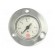 Manometer | 0÷6bar | 40mm | non-aggressive liquids,inert gases paveikslėlis 9