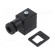 Plug for coil | PIN: 3 | black | 0÷230V | IP65 | A: 20.8mm | B: 28.5mm image 1