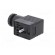 Plug for coil | PIN: 3 | black | 0÷230V | IP65 | A: 20.8mm | B: 28.5mm фото 4