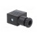 Plug for coil | PIN: 3 | black | 0÷230V | IP65 | A: 20.8mm | B: 28.5mm фото 8