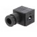 Plug for coil | PIN: 3 | black | 0÷230V | IP65 | A: 27mm | B: 28mm | C: 27mm paveikslėlis 2