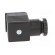 Plug for coil | PIN: 3 | black | 0÷230V | IP65 | A: 27mm | B: 28mm | C: 27mm image 7