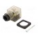 Plug for coil | PIN: 3 | natural (transparent) | 230V | A: 27mm | B: 28mm фото 1