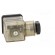 Plug for coil | PIN: 3 | natural (transparent) | 230V | A: 27mm | B: 28mm paveikslėlis 7