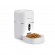 Tellur Smart WiFi Pet Feeder, UltraHD Camera, 4L white paveikslėlis 2