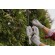 Prime3 GHT41 Electric hedge trimmer image 8