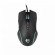 White Shark Gaming Mouse Azarah GM-5003 black image 1