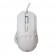 White Shark GM-5016 Ector White image 1