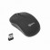 Sbox Wireless Optical Mouse WM-106 black paveikslėlis 1
