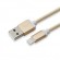Sbox USB 2.0 8 Pin IPH7-G gold image 1