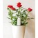 Xiaomi Mi Flower Care Plant Sensor image 4