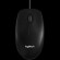 LOGITECH Corded  Mouse B100 - Business EMEA - BLACK paveikslėlis 1