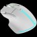 CANYON Fortnax GM-636, 9keys Gaming wired mouse,Sunplus 6662, DPI up to 20000, Huano 5million switch, RGB lighting effects, 1.65M braided cable, ABS material. size: 113*83*45mm, weight: 102g, White image 2