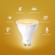 Smart Light Bulb|TP-LINK|Power consumption 2.9 Watts|Luminous flux 350 Lumen|2700 K|Beam angle 40 degrees|TAPOL610 image 4