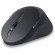 MOUSE USB OPTICAL MS900/570-BBCB DELL image 1