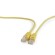 PATCH CABLE CAT5E UTP 0.25M/YELLOW PP12-0.25M/Y GEMBIRD image 2