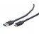 CABLE USB-C TO USB3 3M/CCP-USB3-AMCM-10 GEMBIRD paveikslėlis 1